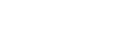 Toro Toro